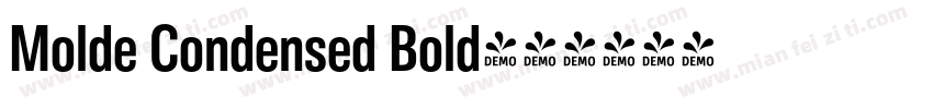 Molde Condensed Bold字体转换